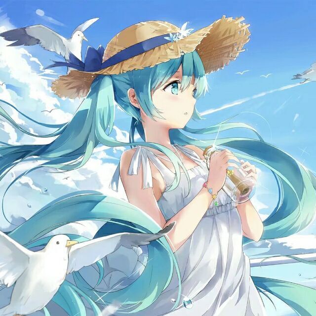 さくら荘後の花園